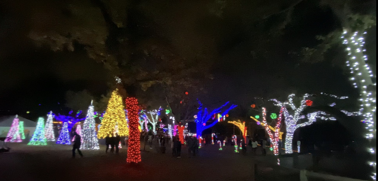 Zoo Lights At Dallas Zoo Experience