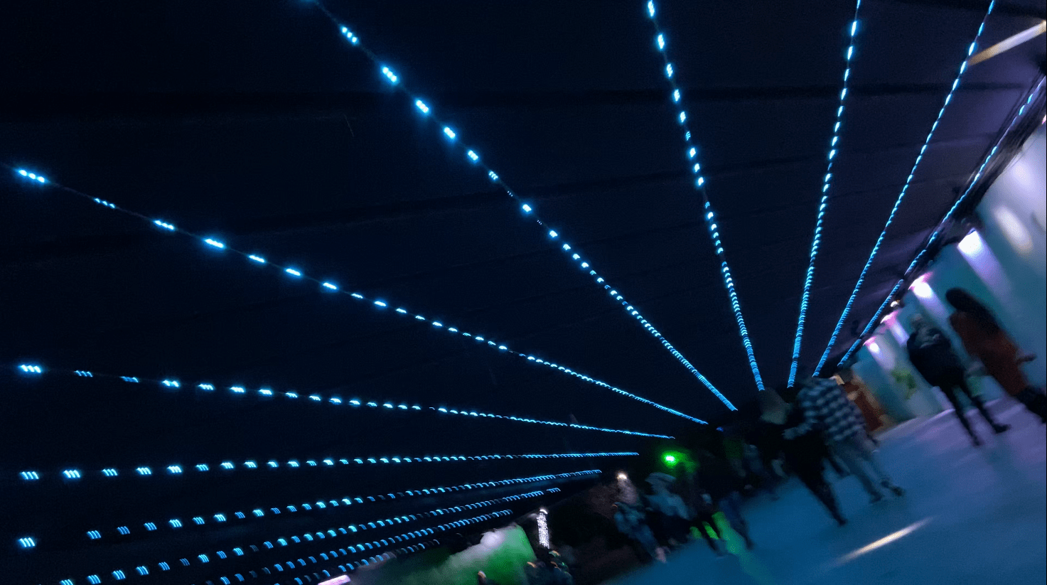 Zoo Lights At Dallas Zoo Experience