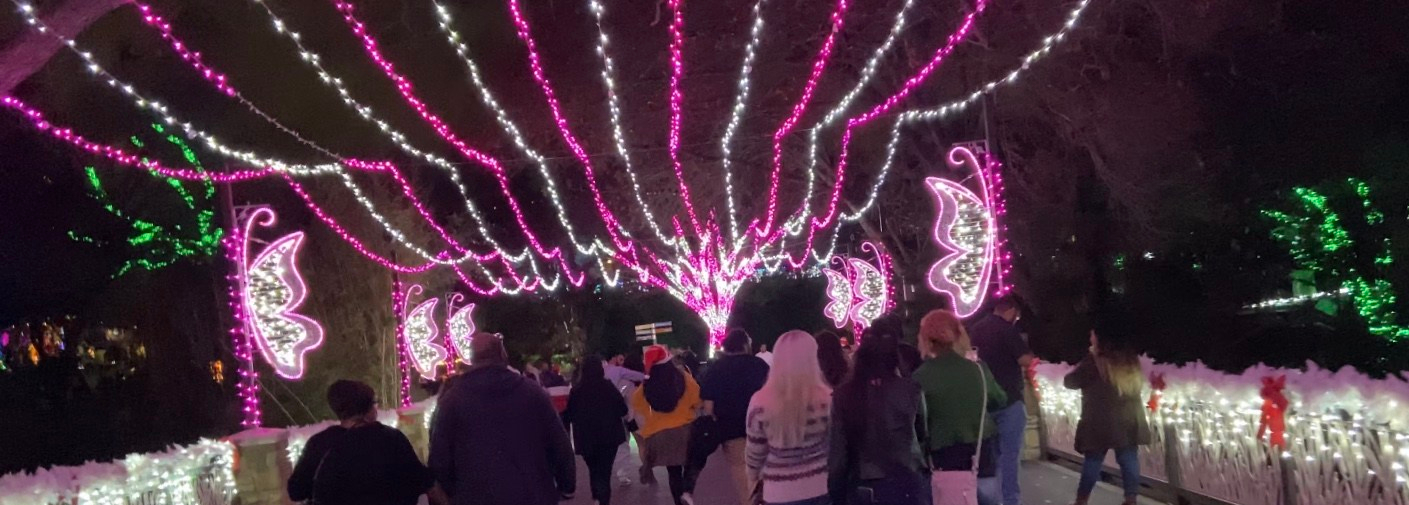 Zoo Lights At Dallas Zoo Experience