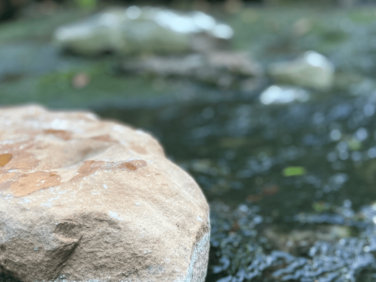 The Thing About Stepping&nbsp;Stones