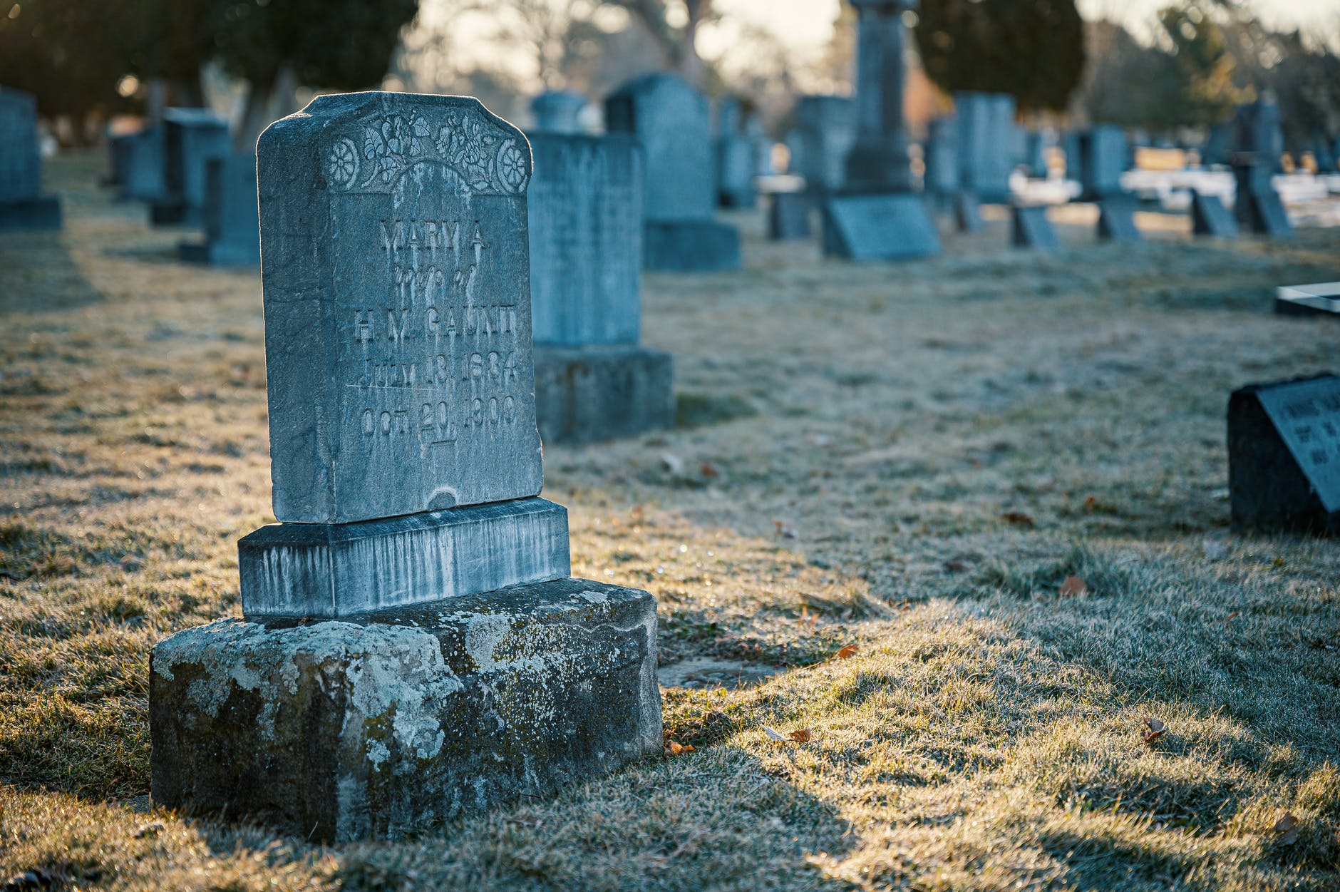 Why Do You Look For The Living Among The Dead?