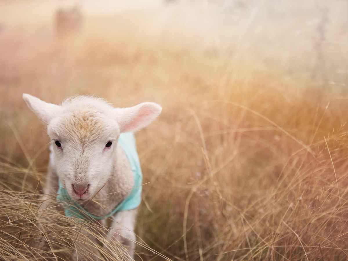 Is God Pleased With&nbsp;You?