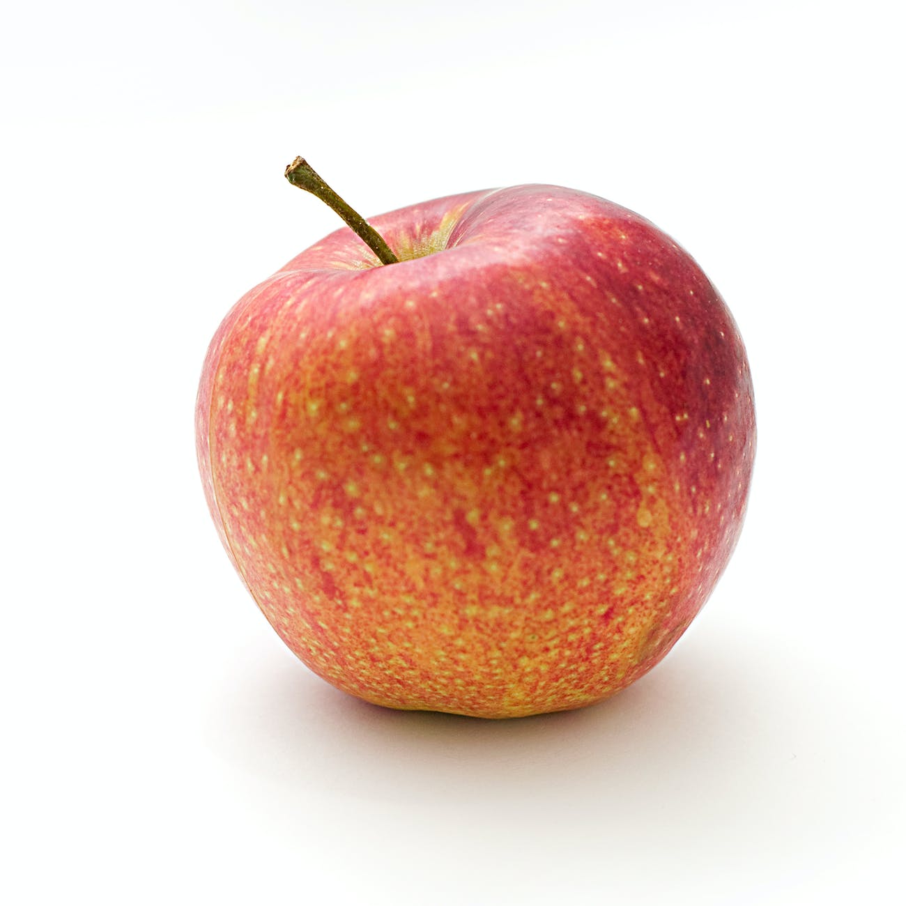You Will Recognize Them By Their Fruit