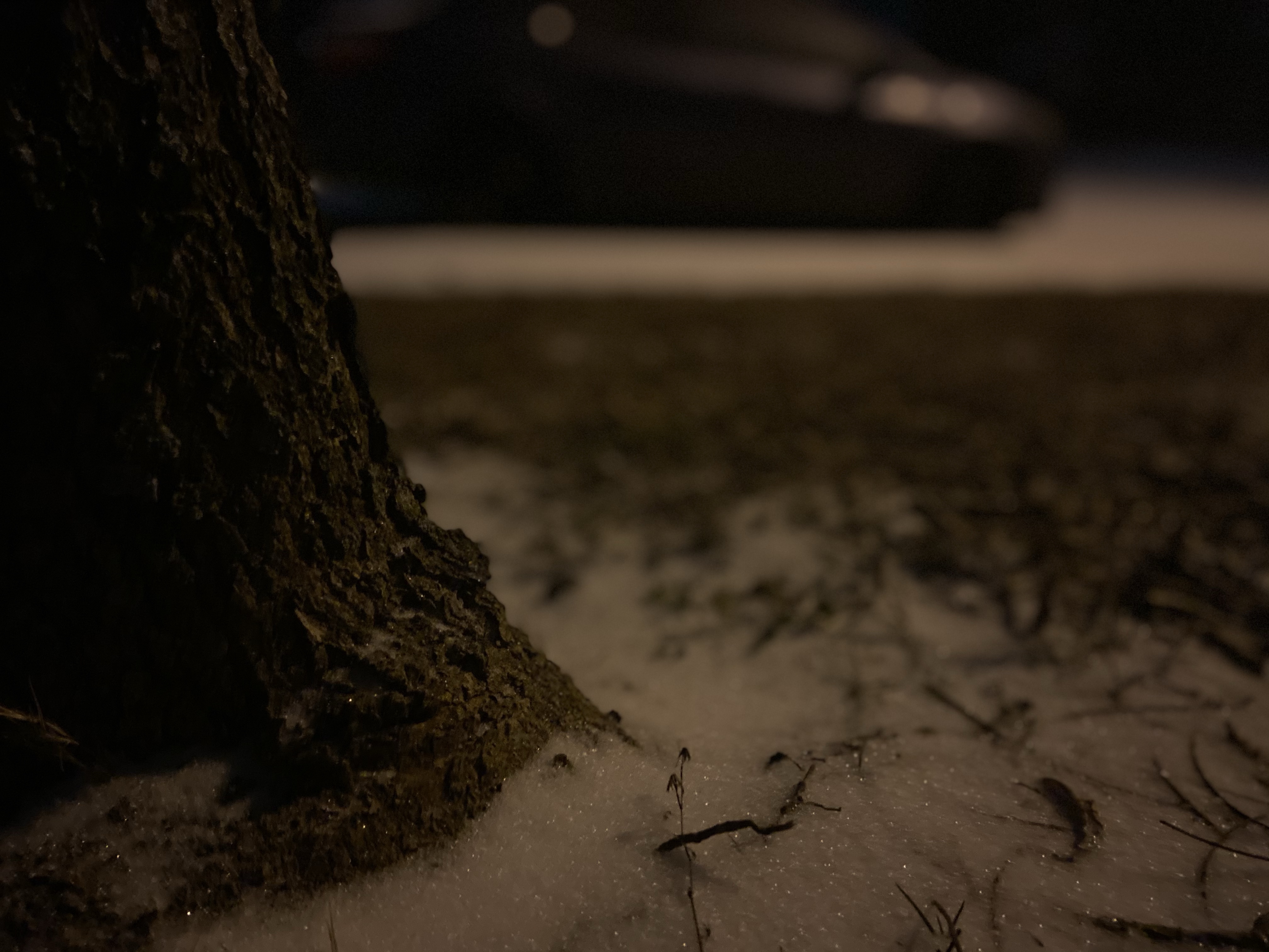 NATHAN’S JOURNAL 2021 — Winter Storm Uri | VI